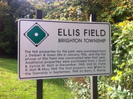 ellis-field